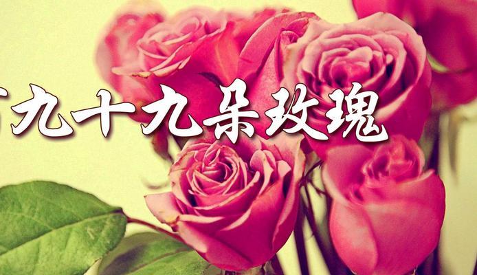 999朵玫瑰花的含义是什么？英语中如何表达？