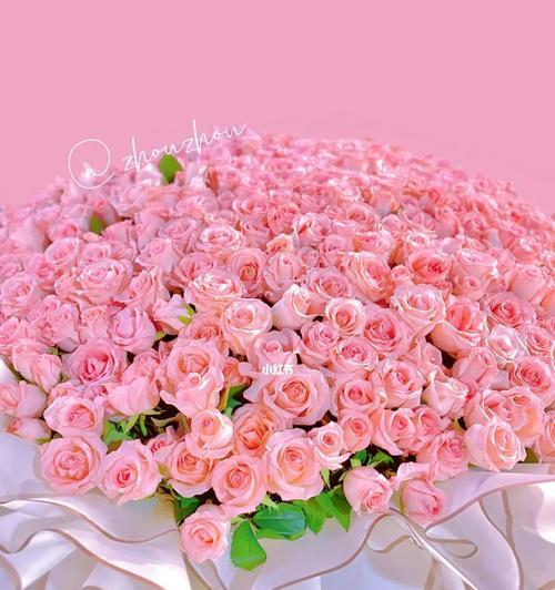 999朵玫瑰花的含义是什么？英语中如何表达？