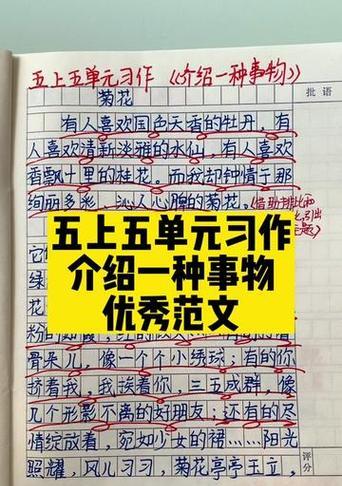 有哪些优美的句子以菊花开头？适合写作的句子有哪些？