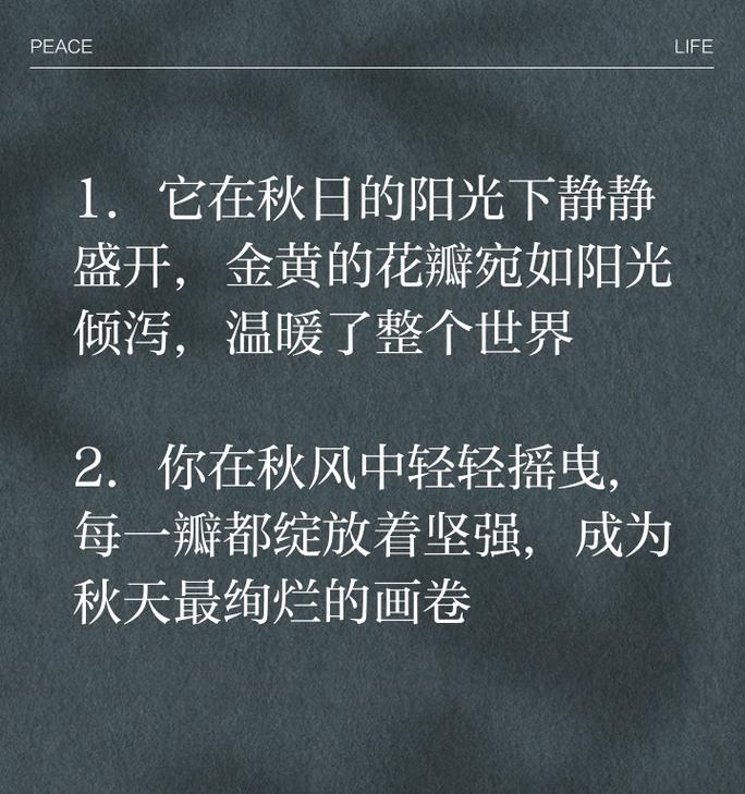 菊花句子开头怎么写？