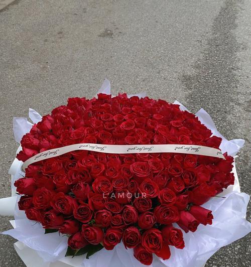 587朵玫瑰花代表什么？图片能提供完整信息吗？