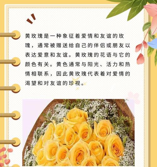 999朵玫瑰花代表什么？用英语如何表达其含义？