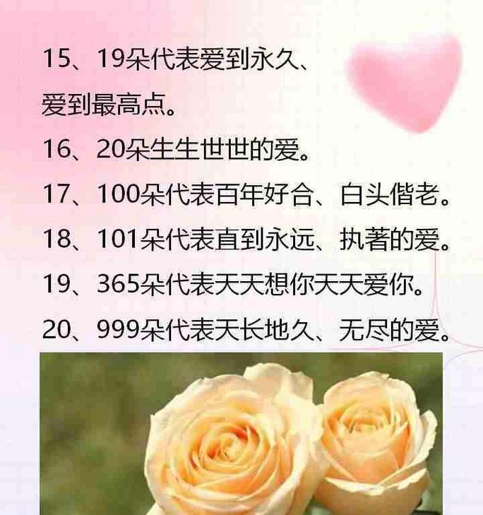 999朵玫瑰花代表什么？用英语如何表达其含义？