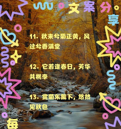 如何写好写菊花文章的结尾句子？有哪些建议？