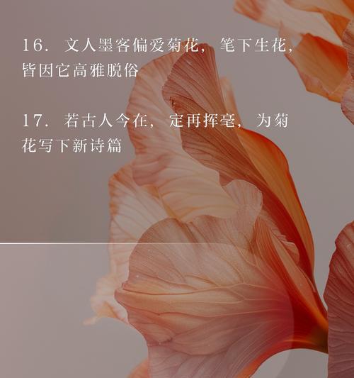 文人墨客如何赞美菊花？有哪些短句句子？