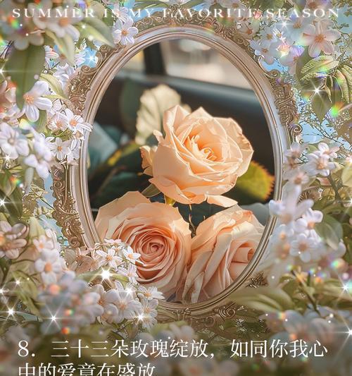 453朵玫瑰花的寓意是什么？