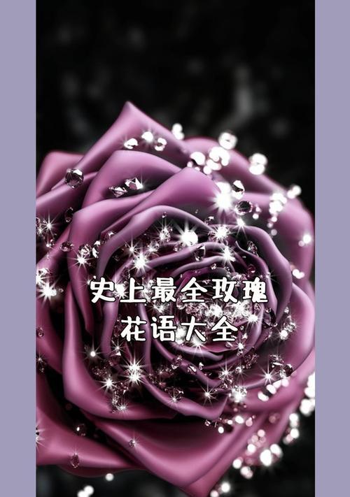 十九朵白玫瑰代表什么？花语有哪些？