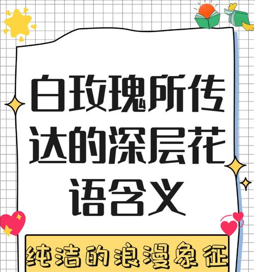 十九朵白玫瑰代表什么？花语有哪些？