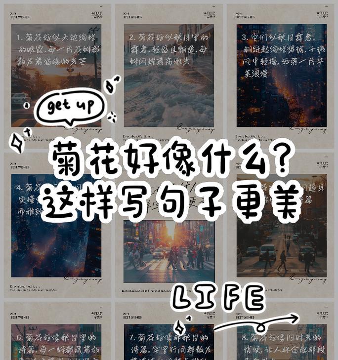 菊花的句子有哪些？如何用50字简单概括？
