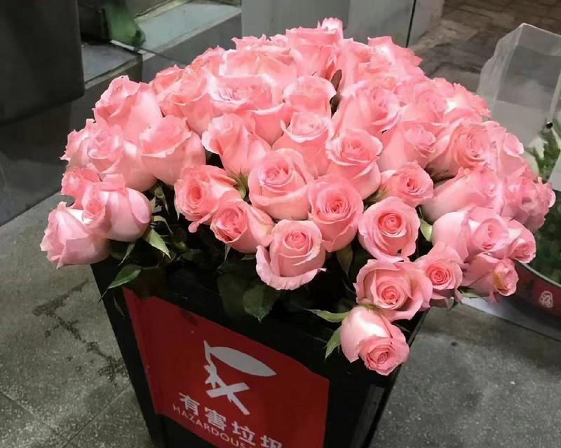 169朵玫瑰花代表什么含义？有相关图片展示吗？