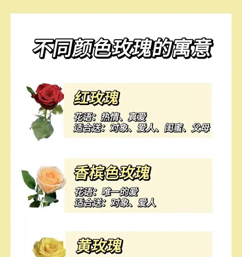 拿小姨玫瑰花送人有何含义？送花时的礼仪是什么？