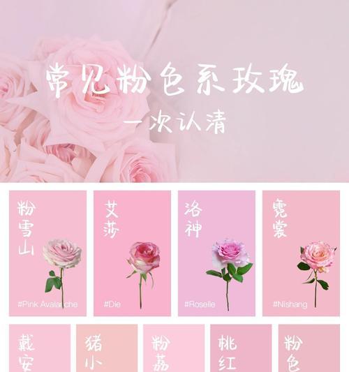 粉色玫瑰花的花语是什么？粉色玫瑰在爱情中代表什么？