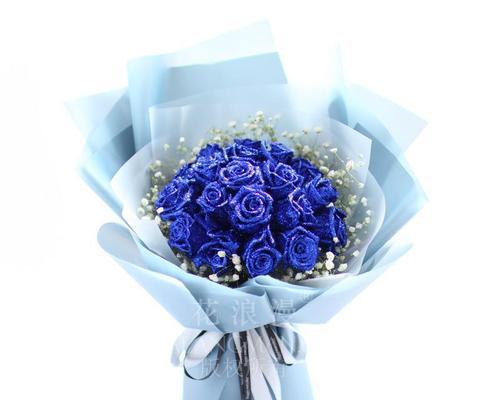 蓝包玫瑰花代表什么寓意？蓝包玫瑰花的花语是什么？
