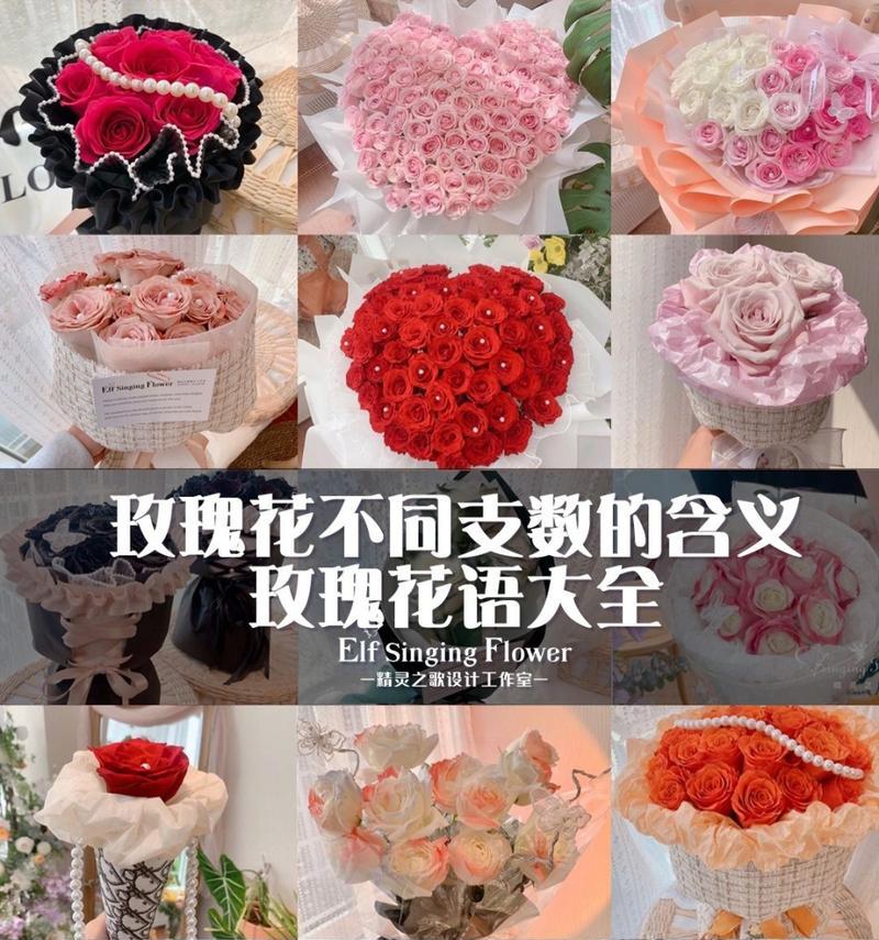 玫瑰花数量不同代表什么含义？每种数量有何特别意义？