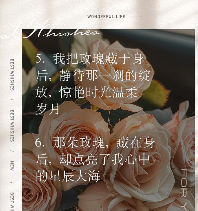 “想要你怀里的玫瑰花”是什么意思？这句话的寓意是什么？