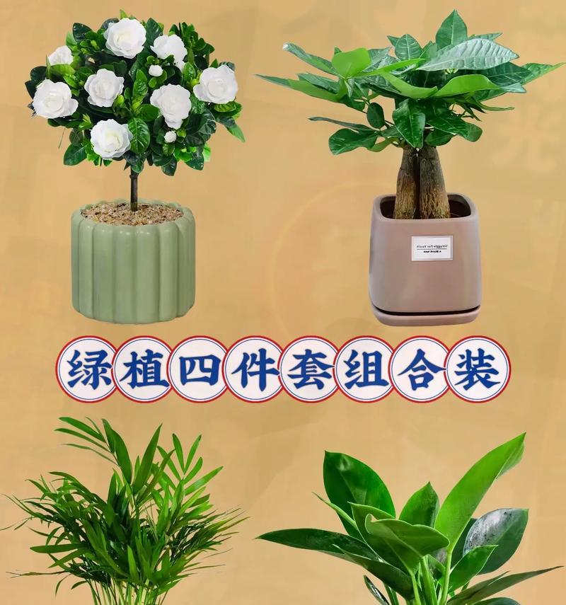盆栽在说话中代表什么？盆栽作为语言的含义是什么？