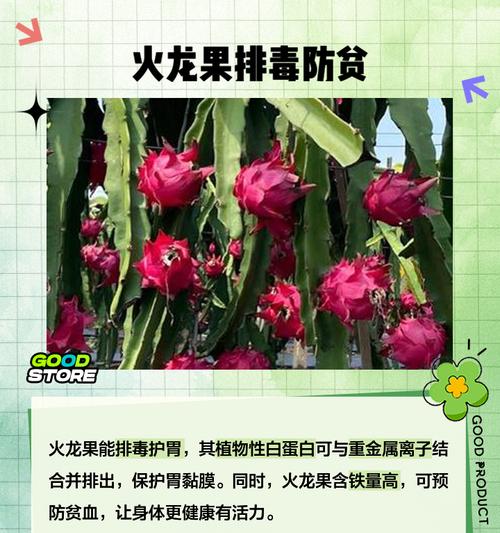 哪些植物具有吸收金属离子的能力？它们的吸收效果如何？