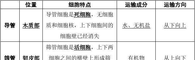 观察植物导管结构的方法是什么？