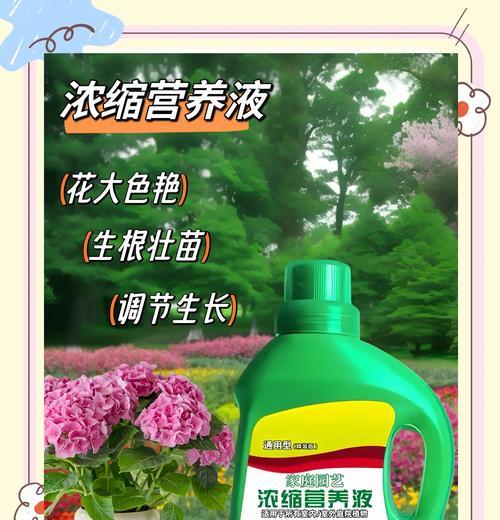 花卉大棚应使用哪种营养液？如何正确配制？