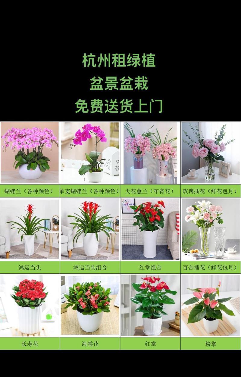 塑料绿植花卉的种类有哪些？塑料绿植花卉的养殖方法是什么？
