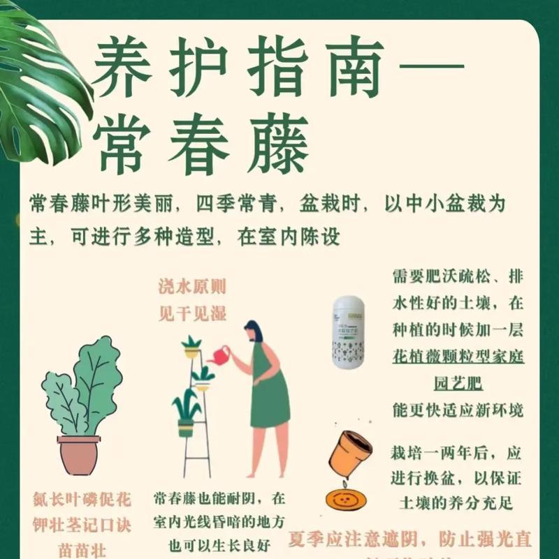 初夏花卉养护注意事项有哪些？怎样才能让花卉健康生长？