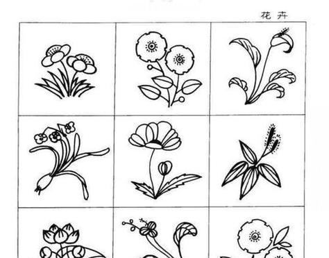 如何绘制植物园植物的卡通版？