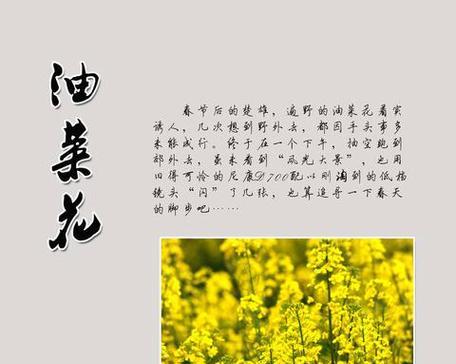 如何用花语句子来夸赞他人？有哪些例子？