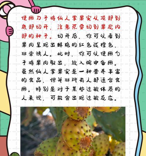 结果仙人掌种苗存活的关键是什么？