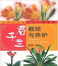 君子兰幼苗入盆后的养护方法是什么？入盆后君子兰的管理要点有哪些？