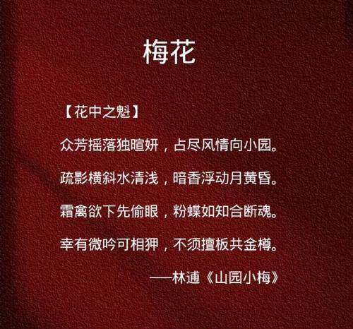 梅花的简介和花语是什么？梅花有哪些寓意？