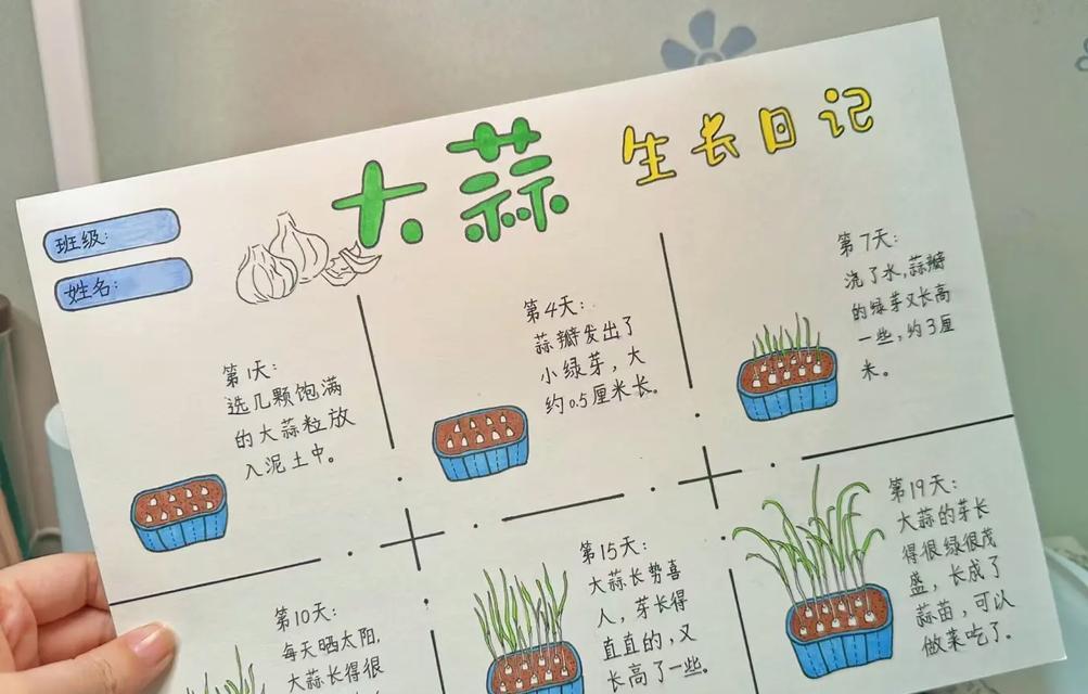 三色珠仙人掌的种植方法是什么？