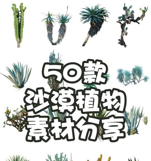 三色珠仙人掌的种植方法是什么？