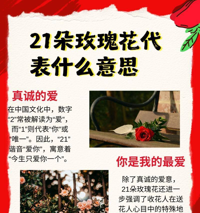卡洛玫瑰的花语代表什么？