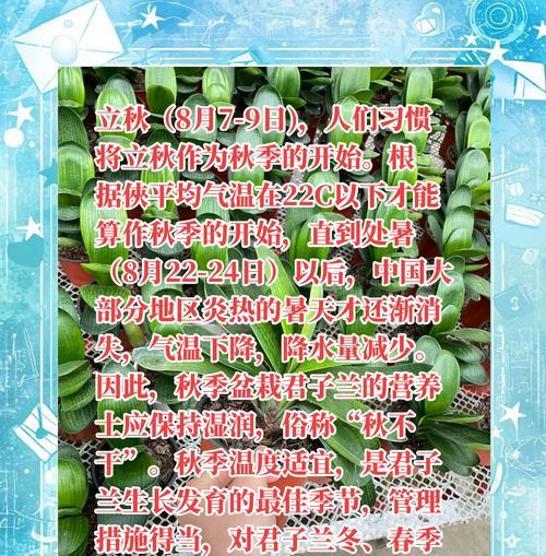 下雪天君子兰浇水要注意什么？