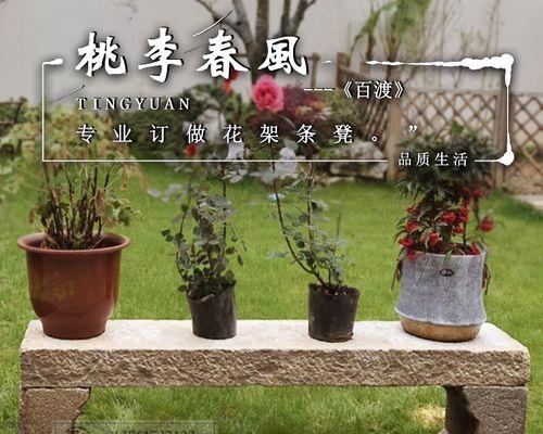 邪恶仙人球红花的养护要点是什么？