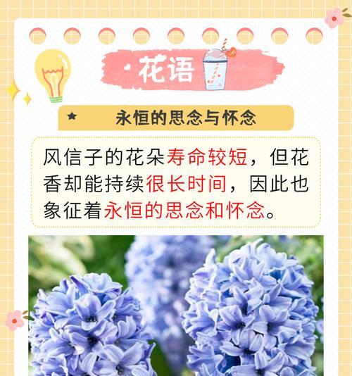 花语通常象征着哪些花朵？