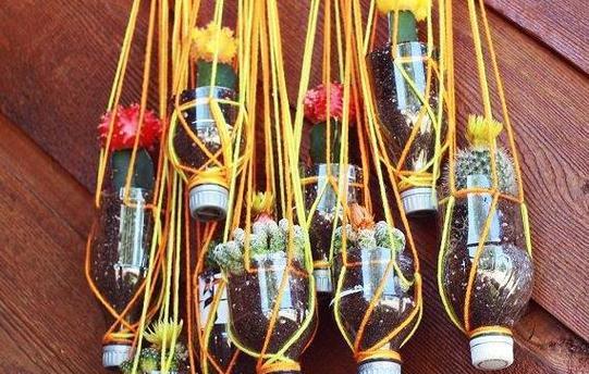 绿矾在养花中起到什么作用？