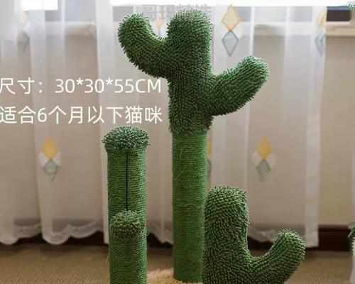 仙人掌猫喜欢吗？如何正确养护仙人掌猫？
