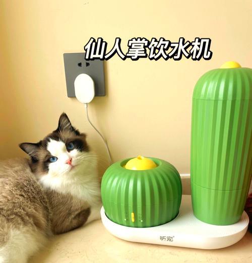仙人掌猫喜欢吗？如何正确养护仙人掌猫？