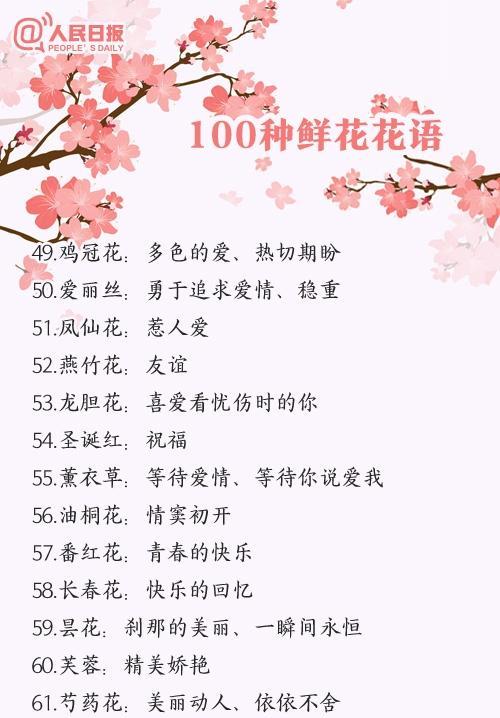 哪种花的花语最受欢迎？它代表了什么？