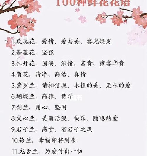 哪种花的花语最受欢迎？它代表了什么？