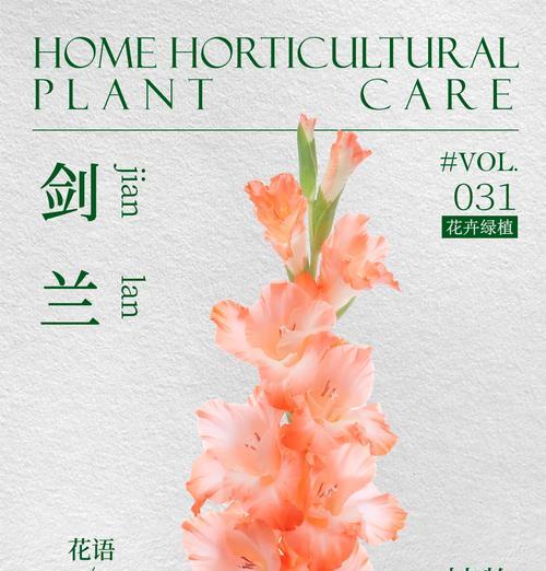 哪种花语最适合学生？