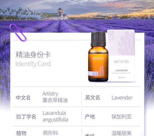 薰衣草的花语寓意是什么？