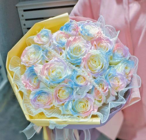 人鱼姬玫瑰花语代表什么？