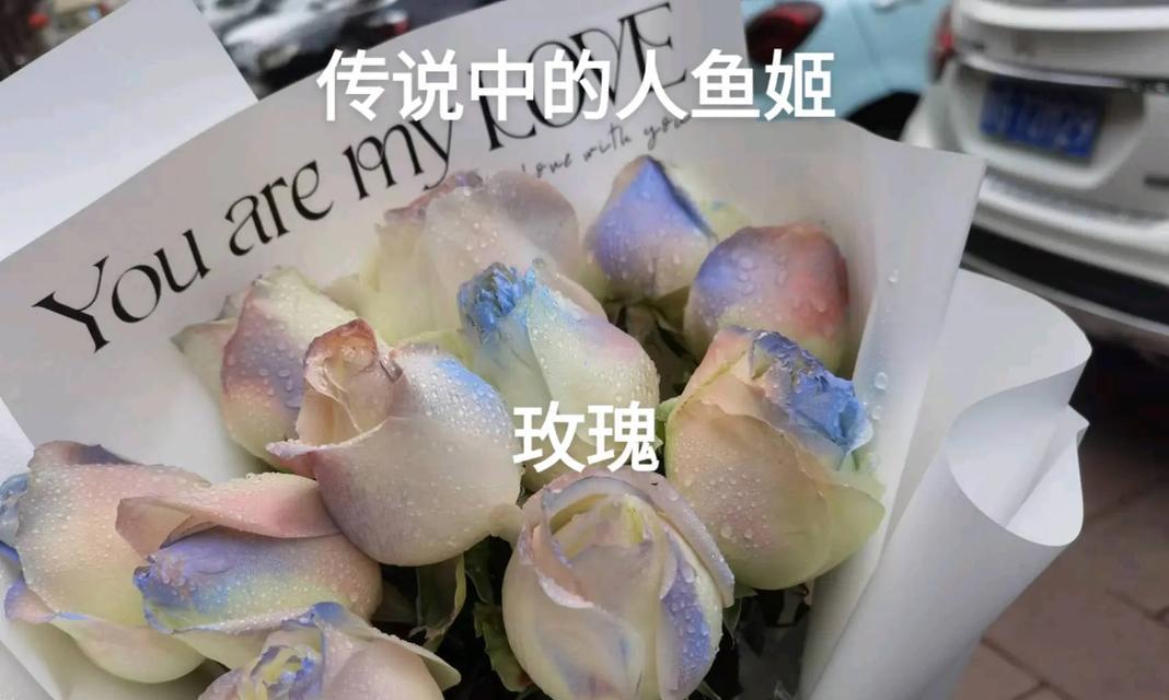 人鱼姬玫瑰花语代表什么？