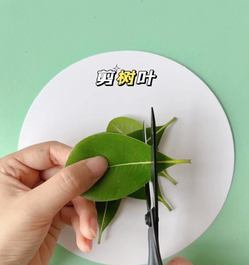 大师仙人掌合成叶子的步骤和技巧是什么？