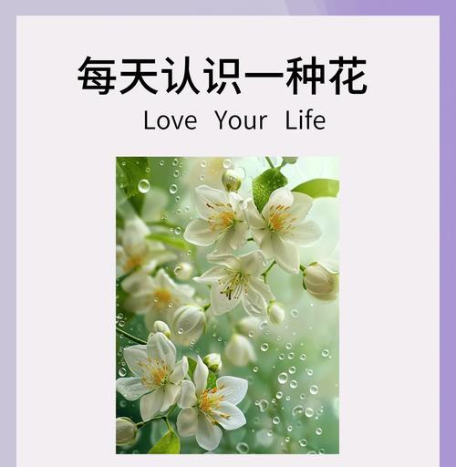 像茉莉花的花语是什么意思？哪种花的花语与茉莉相似？