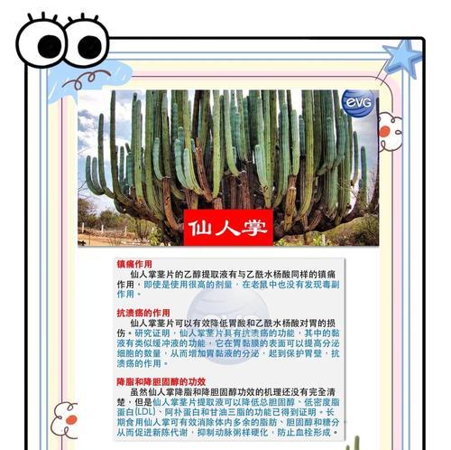 糖果仙人掌植物的养护技巧有哪些？