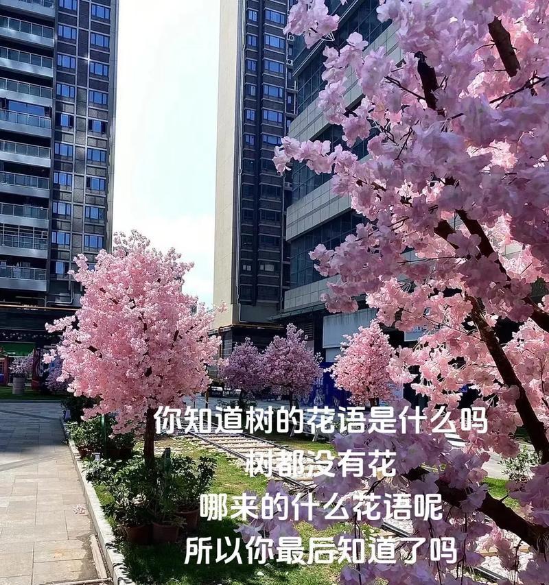 哪些花语可以表达遗憾之情？