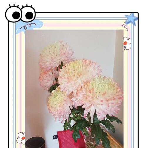 献给佛的鲜花代表什么？花语有何深意？